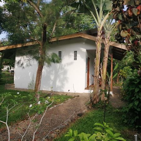 Cabinas Los Tucanes Cahuita Exteriér fotografie