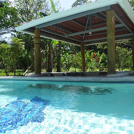 Cabinas Los Tucanes Cahuita Exteriér fotografie