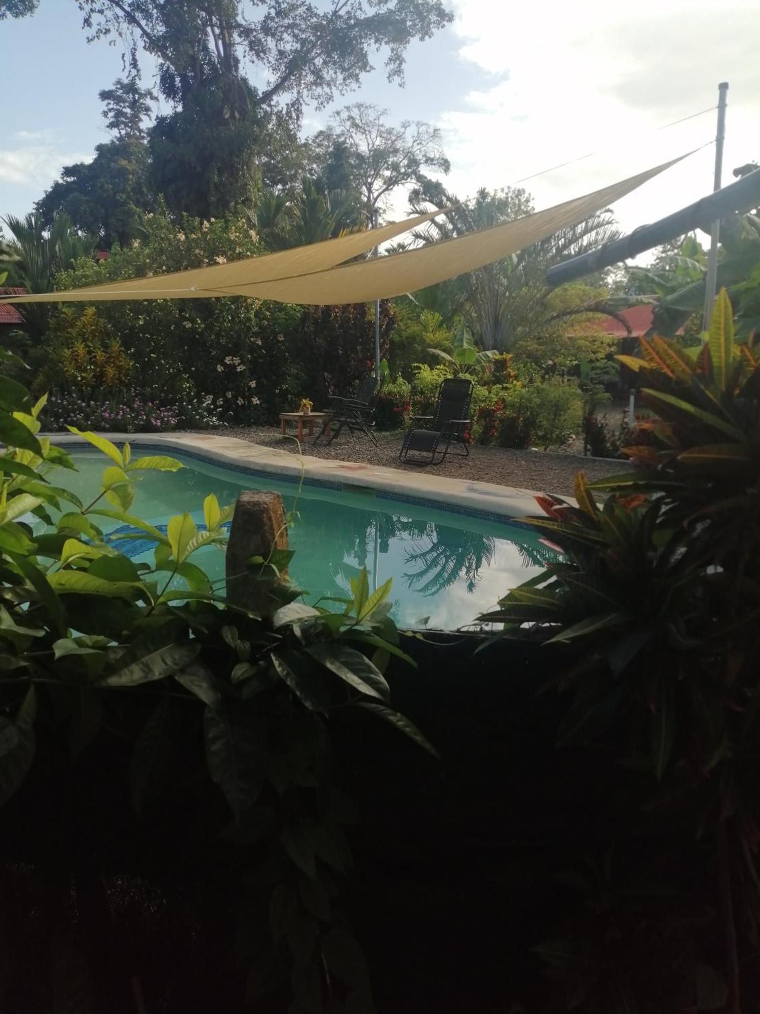 Cabinas Los Tucanes Cahuita Pokoj fotografie