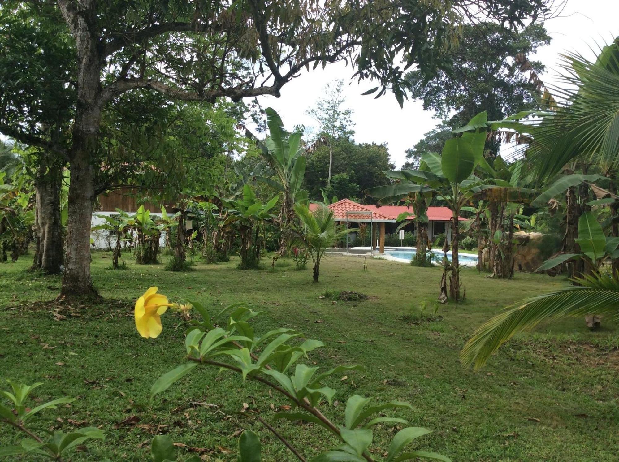 Cabinas Los Tucanes Cahuita Exteriér fotografie