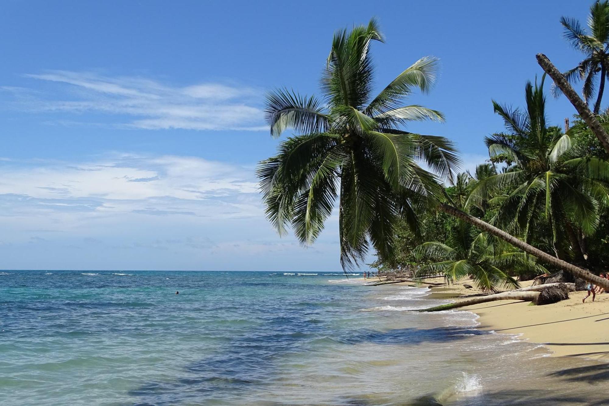 Cabinas Los Tucanes Cahuita Exteriér fotografie